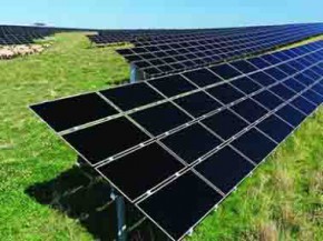 太陽能電池供大于求 或出現暴跌