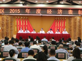 白云化工榮獲“白云區2015年度經濟優秀貢獻獎”