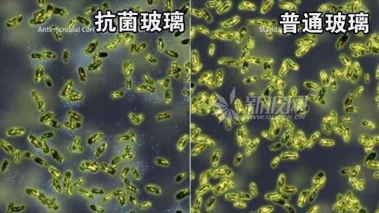 什么是抗菌玻璃嗎？