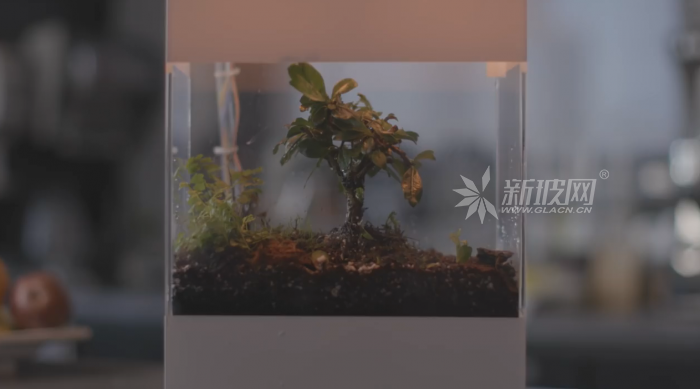 谷歌打造基于AI的玻璃容器可“展示”世界各地的天氣狀況