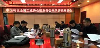 硅業分會調研安徽鳳陽硅基材料產業