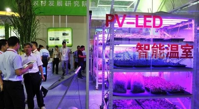 玻璃溫室的最基本的都有哪些配置呢