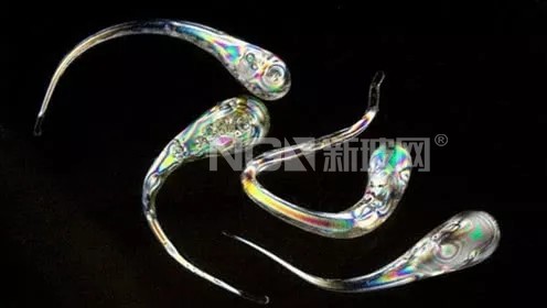 美得讓人心碎的“魯珀特之淚”，承重竟超8噸？