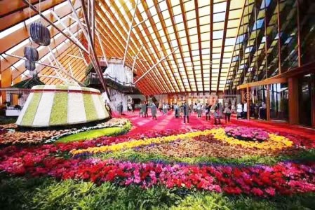 世園會中國館1024塊碲化鎘光伏玻璃誰家的？