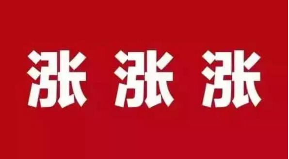 瘋狂的玻璃：價格暴漲、利潤翻倍、協會被查