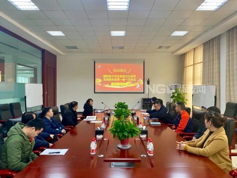 醴陵旗濱電子玻璃有限公司召開黨支部成立大會