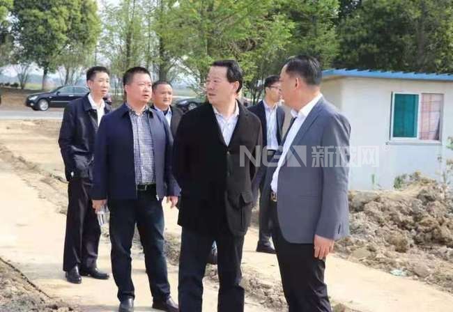 凱盛科技集團黨委書記彭壽赴宜興新能源考察指導