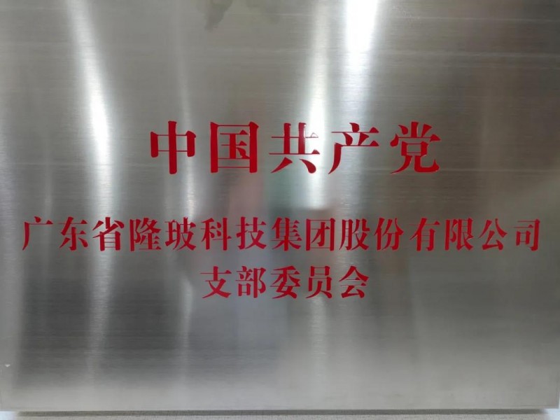 廣東隆玻科技集團黨支部