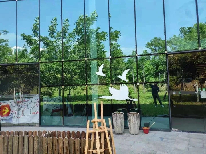 中國多方努力避免城市玻璃建筑成為鳥類噩夢
