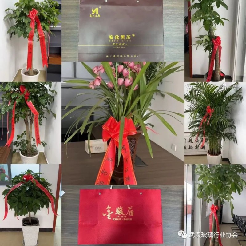 武漢玻璃行業協會揭牌