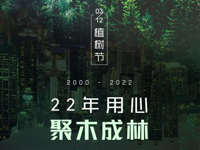 2000-2022：22年用心，聚木成林