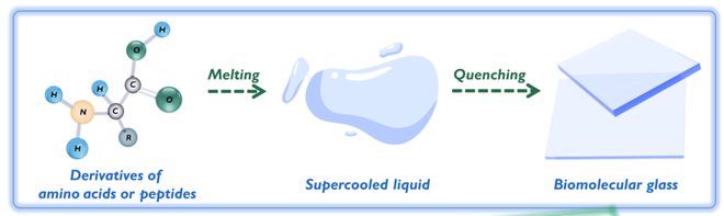 利用氨基酸和肽，中科院團隊成功研發可堆肥降解的生物玻璃
