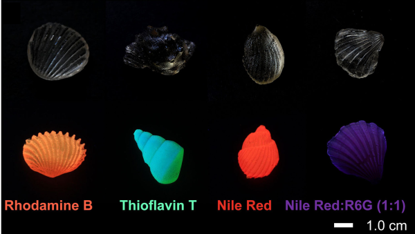科研人員開發出可生物降解及生物循環再利用新型玻璃