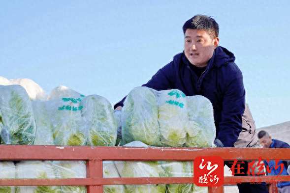 山東沂蒙山玻璃集團有限公司總經理劉永剛冒嚴寒為甘肅地震災區籌集10萬斤大白菜