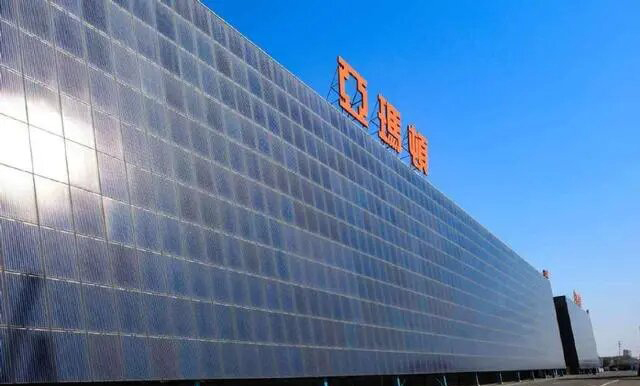 亞瑪頓2023年業績增速穩健，盈利質量與現金流表現強勁