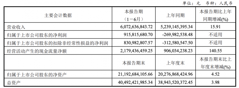 彩虹股份2024年上半年凈利潤(rùn)9.16億元